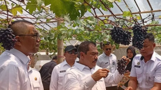 Inovasi untuk Pulau Nusakambangan Cilacap Berpotensi Kawasan Food Estate