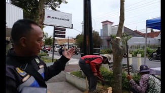 DPRKPLH Temanggung Pindahkan Pohon Demi Proyek City Walk Tahap II, Begini Prosesnya