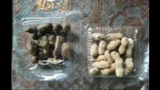 Menu Kacang Rebus dan Gethuk Goreng Picu Polemik Program MBG Banyumas