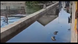 Perlu Tinjau! Warga Keluhkan Banjir Terus Menerus Hingga Masuk Rumah Warga Desa Denasri Kulon, Batang