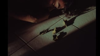 Tragedi Banjarnegara 1992: Minem dan Sarni Difitnah Racuni Tetangga, Diseret, Dicukur, dan Ditelanjangi Massa