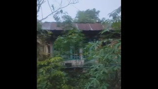 Kasus Mengerikan di Kemangkon Purbalingga, Remaja 19 Tahun Diduga ODGJ Bunuh Ayah Kandung Dengan Batang Kayu