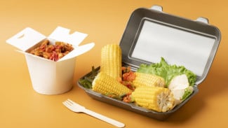 Belajar dari Dunia: 5 Negara dengan Program Makan Gratis Sekolah yang Bisa Jadi Inspirasi untuk Indonesia