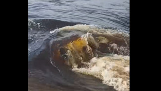 Misteri Pencemaran Bengawan Solo: Warna Air Coklat Kehitaman Warga Resah Ancam Pertanian dan Air Bersih