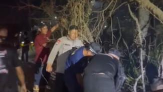 Seorang Wanita di Wonosegoro Batang Menabrak Pohon Asem yang Tumbang Hingga Tersangkut