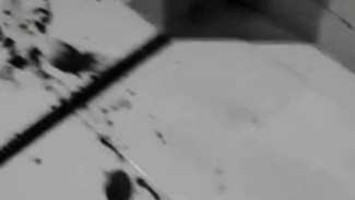 Tragis! Pasutri Lansia di Karangmoncol Purbalingga Tewas Diduga Dibunuh Keponakan yang ODGJ