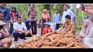 Olahan Singkong 'Naik Kelas', Bupati Pringsewu Pelajari Inovasi Pengolahan ke Banjarnegara