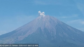 Gunung Semeru Enam Kali Erupsi dalam Sehari, PVMBG Imbau Warga Waspadai Awan Panas dan Lahar