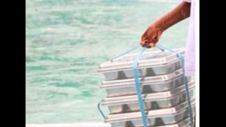 Wabup Jepara Tegaskan Siswa Dilarang Bawa Pulang Menu Makan Bergizi Gratis Pengawasan Diperketat