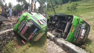 Diduga Rem Malfungsi, Minibus Mikro Terguling ke Sawah di Jl. Raya Kedaung Banjarnegara