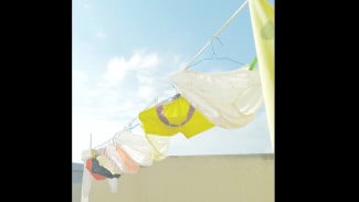 Viral di Klaten! Pria Misterius Curi CD Wanita, Aksi Konyolnya Direkam Pemilik Rumah