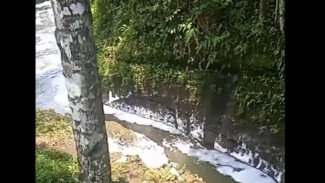 Air Sungai Soso Jadi Kuburan Ikan: Terkuak Jejak Limbah dari Drum Misterius di Purbalingga