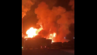 Pabrik Sampoerna Kayu di KIT Batang Dilalap Api, Penyebab Masih Misterius!