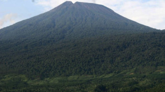 Tiga Jalur Pendakian Gunung Slamet Terbaik: Pilihan Tepat untuk Pemula dan Pemburu Spot