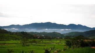 Gunung Kumbang Brebes: Surga Tersembunyi, Jalur Eksotis, Spot Foto Epik, dan Wajib Coba