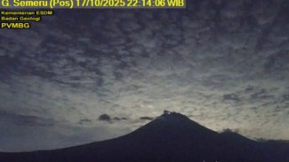 Gunung Semeru Level II Waspada: Meletus Jumat Malam, Imbauan Jauhi Sektor Tenggara 8 KM