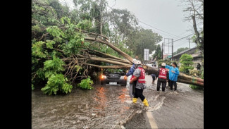 BPBD Magelang Imbau Warga Waspada Setelah Hujan Lebat Disertai Angin Kencang Terjang 7 Kecamatan