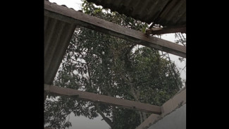 Hujan Deras Disertai Angin Terjang Kepil Wonosobo: 5 Rumah Rata Tanah, Fasilitas Umum Ikut Rusak!