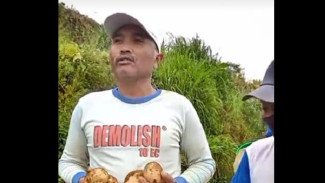 Ironi Panen Raya Banjarnegara: Kentang Super Dijual Murah Hanya Rp8 Ribu per Kg Petani Mengeluh