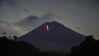 Gunung Semeru Erupsi Delapan Kali dalam Enam Jam, Kolom Abu Capai 800 Meter di Atas Puncak