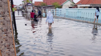 Ribuan Warga Brebes Terpaksa Hadapi Banjir Rob di Tiga Desa Losari, Anak Sekolah Terpaksa Naik Perahu