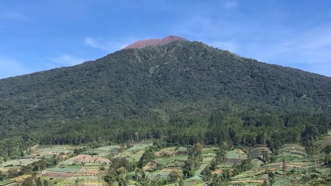 Gadu Pandang Purbalingga