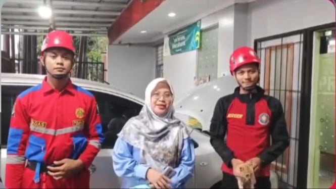 Evakuasi Kucing Masuk dan Terjebak pada Kap Mobil di Purwokerto