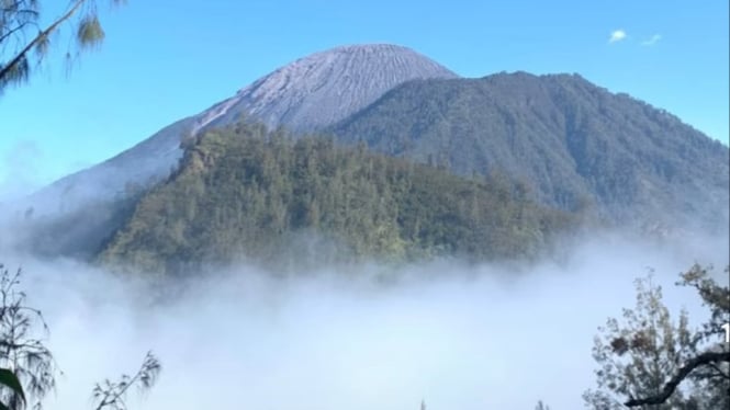 Gunung Semeru wajib pakai pendamping