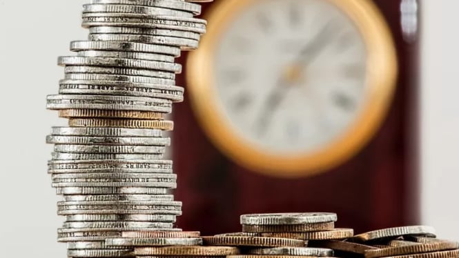 Usaha ternak menjanjikan di tahun 2025 dengan modal kecil