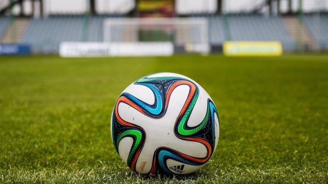 Sebuah bola dan Dunianya