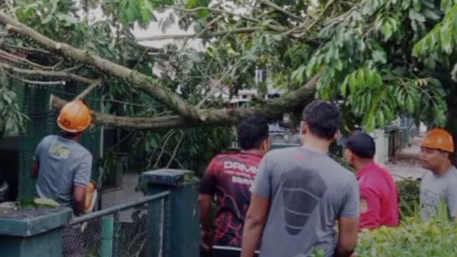 Pohon Tumbang Menimpa Rumah Dinas Korem di Purwokerto