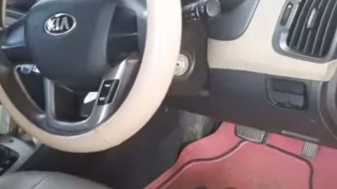 Cara Menghilangkan Semut di Mobil