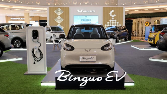 Wuling BinguoEV