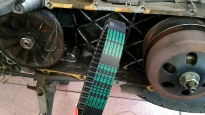 Umur V Belt Motor