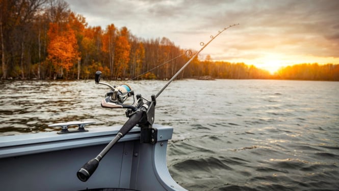Ilustrasi - Tips Memancing