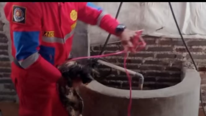 Seekor Kucing Milik Warga Kedungbanteng Tercebur ke Dalam Sumur