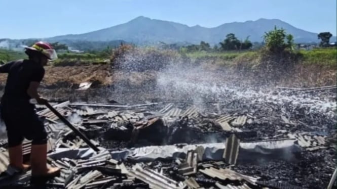 Kebakaran Kandang Kambing di Kalibeber Wonosobo