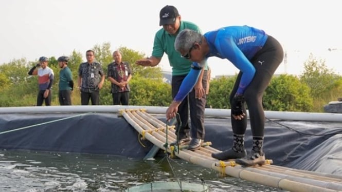 Sekda Jateng panen udang vaname di kawasan industri Semarang