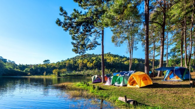 Ilustrasi Tempat Camping