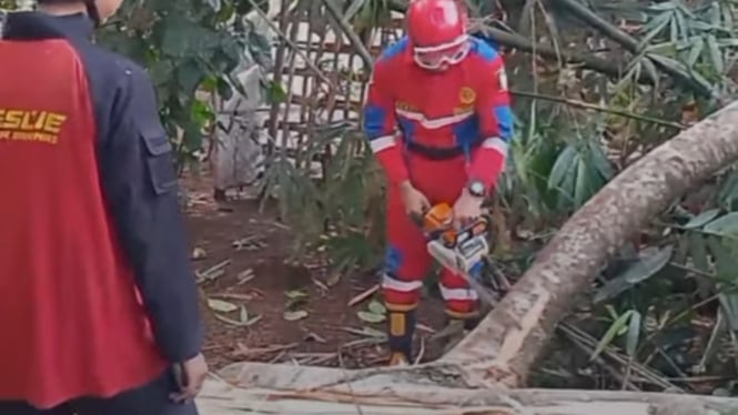 Pohon Tumbang Menimpa Rumah Warga di Cilongok