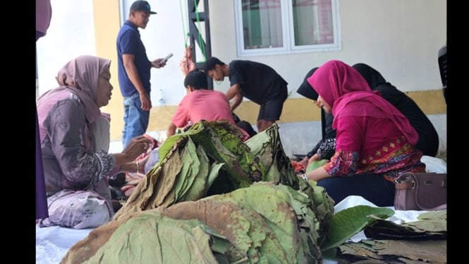 Daging kurban ASN DP4 Blora dibungkus daun jati ramah lingkungan