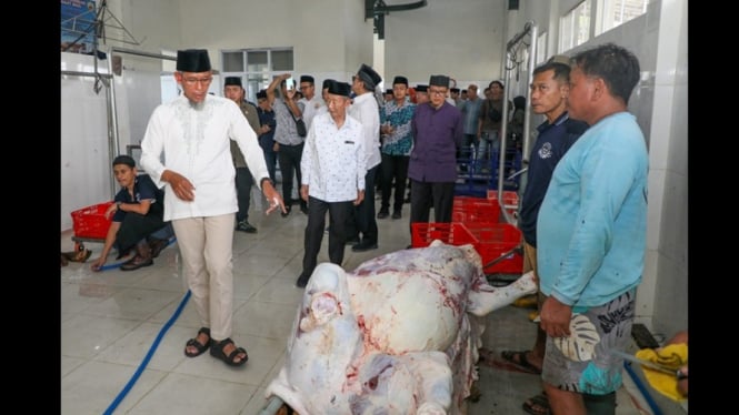Proses penyembelihan sapi kurban di RPH MAJT