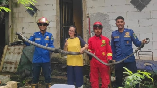 Penemuan ular di Purwonegoro