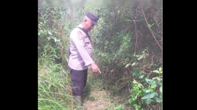 Lansia Maskuri ditemukan selamat di tengah perkebunan