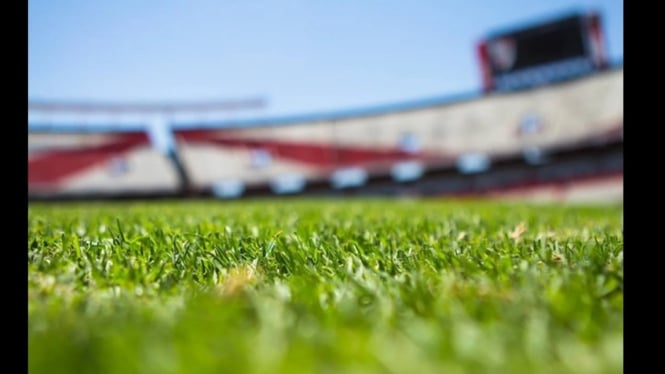 Ilustrasi Rumput liar tumbuh di tribun Stadion Krida Rembang