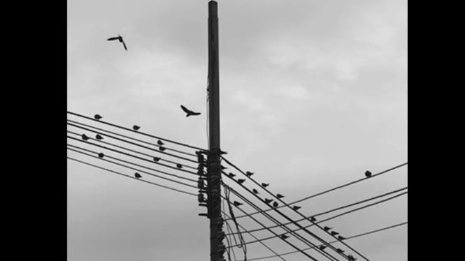 Warga protes biaya pindah tiang listrik PLN Rp16 juta