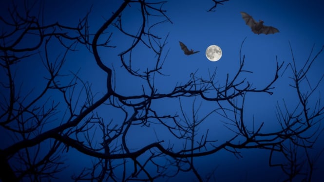 Weton di Bulan Suro