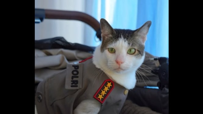 Bobby Kertanegara dikawal polisi di acara Cat Lovers 2025