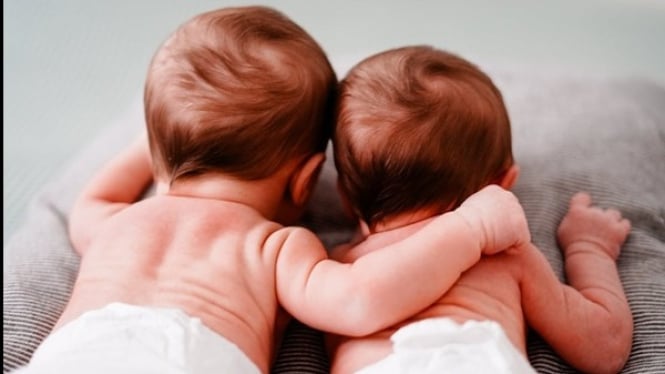 Ilustrasi Bayi Triplet Lahir di Kebumen