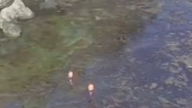 Hilang Misterius di Pantai Siung Gunungkidul